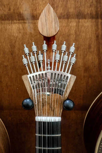 Closeup Guitarra Portuguesa Cordas Fado — Fotografia de Stock