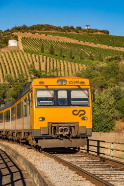 Duoro Vadisi, Portekiz - 1 Temmuz 2017: Tren seyahatleri bağ önünde