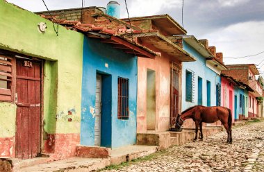 Trinidad, Küba, 27 Kasım 2017 - at satır Arnavut kaldırımlı sokak üzerinde renkli evlerin önünde tanktan su içer