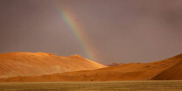 Arco Iris Brilla Sobre Una Duna Arena Desierto Namibia — Foto de Stock