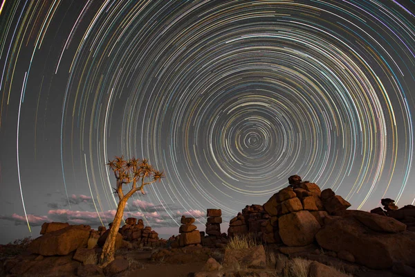 Star trails circle over quivertrees in Namibia