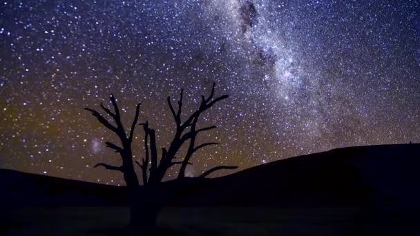 Vintergatan Rör Sig Över Himlen Bakom Ett Kameltaggsträd Deadvlie Namibia — Stockvideo