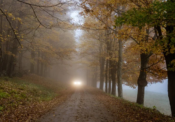 Car Headlights Can Seem Coming Road Misty Day Late Autumn — Stock Photo, Image