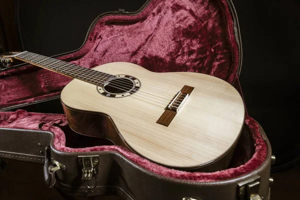 Acoutic κιθάρα κάθεται σε περίπτωση κόκκινο βελούδο, φόδρα — Φωτογραφία Αρχείου