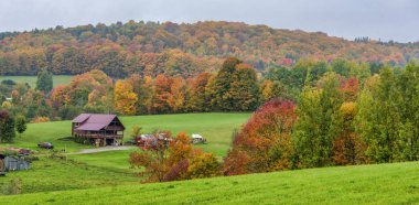 Woodstock, Vermont - 8 Ekim 2018 - Vermont gösterisi sırasında sonbahar renkleri kapalı tepeler haddeleme.