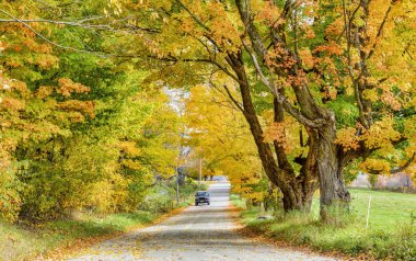 Woodstock, Vermont - 8 Ekim 2018 - bir araba sırasında sonbahar renkli ağaçlar ile yolda geliyor.