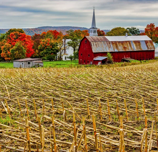 우드스탁, 버몬트-2018 년 10 월 8 일-붉은 헛간과 백그라운드에서가 색상으로 수확된 cornfiield 옆 교회. — 스톡 사진