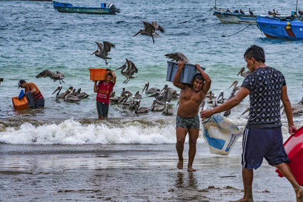 Puerto Lopez, Equador - 12 de setembro de 2018 - o homem carregou uma lata de peixe fresco do barco para o atacado de caminhão de gelo à espera . — Fotografia de Stock