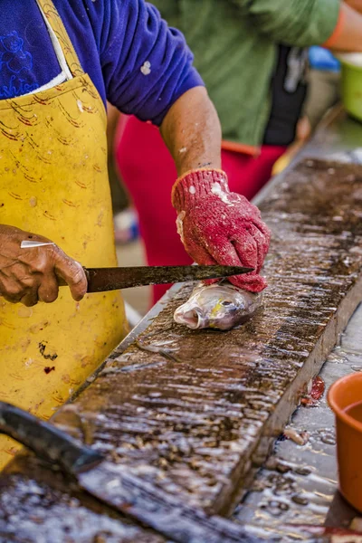 Puerto Lopez, Equador - 12 de setembro de 2018 - Homem limpa peixe recém-capturado, para ser vendido a clientes na praia . — Fotografia de Stock