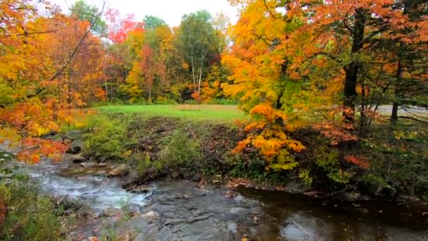 Déplacer dans le ruisseau murmure à travers les arbres vibrantes pendant les couleurs d’automne dans le Vermont