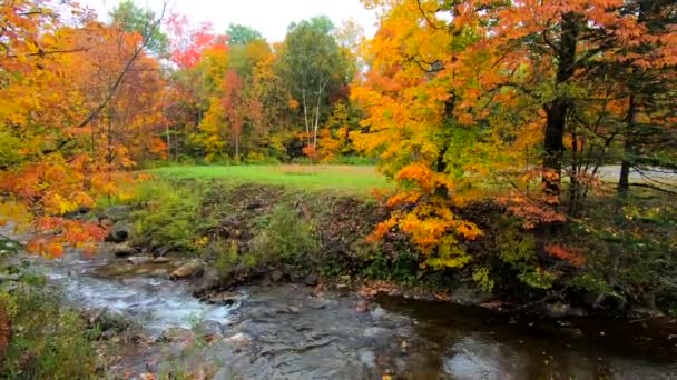 Pan através da corrente que brota através de árvores vibrantes durante as cores da queda em Vermont — Vídeo de Stock