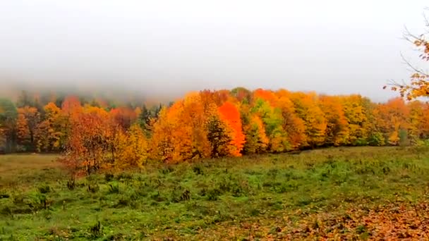 Pan a través de la niebla por encima de la colina vibrante durante los colores de otoño en Vermont — Vídeos de Stock