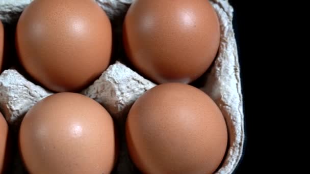 Dussin ägg i ägg kartong diabilder från vänster till höger från ovan — Stockvideo