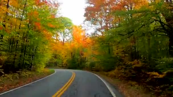 Timelapse - řízení pod stromy v plných barvách během podzimu v Vermont — Stock video