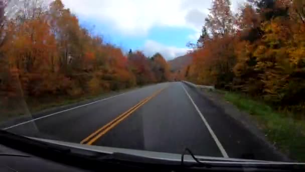 Timelapse 10X Condução Sob Árvores Cor Pico Durante Queda Vermont — Vídeo de Stock