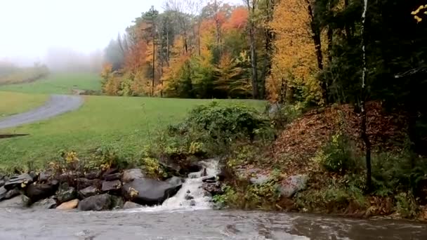 Corrente lateral entra no rio em pequena cascata de água com cores de queda no fundo em Vermont — Vídeo de Stock