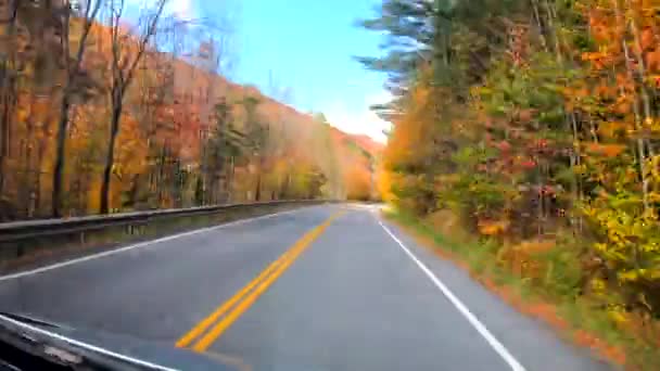 Timelapse 10 x - rijden onder bomen in fel zonlicht als sommige bomen kaal in de herfst in Vermont zijn — Stockvideo