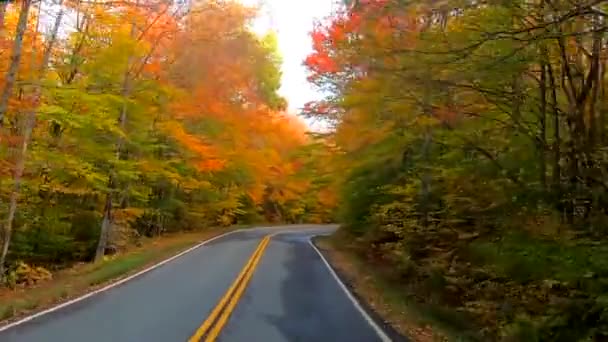 Timelapse Driving Trees Curves Full Color Fall Vermont — Stock Video