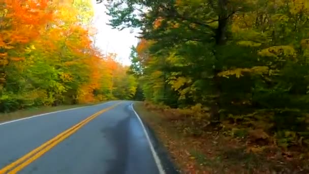 Zeitraffer - Autofahren unter Bäumen, während Bäume im Herbst in Vermont die Farben wechseln — Stockvideo