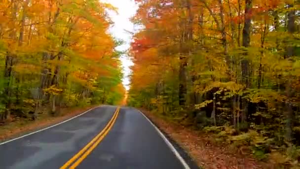 时光流逝 在佛蒙特州秋天树木变色时 在树下和曲线周围行驶 — 图库视频影像