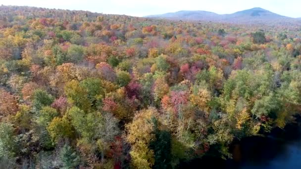 Drone - Voler hors du lac et au-dessus du couvert forestier coloré à l'automne dans le Vermont — Video