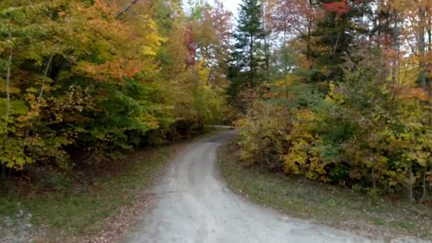 Antenn drönare - flyga långsamt vägen kantad med färgglada träd på hösten i Chittenden, Vermont — Stockvideo