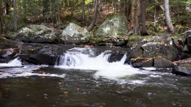 Small Waterfall In Stream — Stock Video