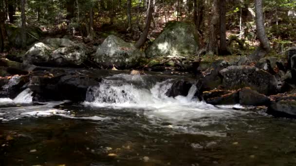 Slow Motion Small Waterfall With Orange Leaves Falling From Trees Into Stream — Stock Video