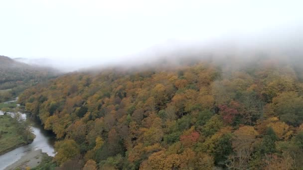 Letecká Drone - Fly pomalu přes kopec v zářivých barvách s řekou po boku podzim ve Vermontu — Stock video