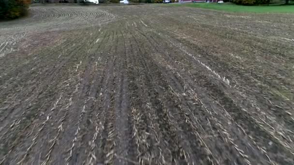 Drone aéreo: vuela sobre el campo de maíz recién cosechado en otoño en Vermont — Vídeos de Stock