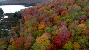 Hava Drone - yüksek irtifa Hill gösteren tepe üzerinde yükselmeye sonbaharda Vermont'ta renkler..