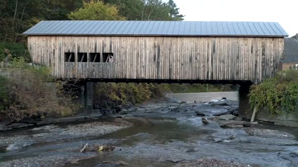 Letecká Drone - Stream běží pod zvětralý krytý most podzim ve Vermontu. — Stock video