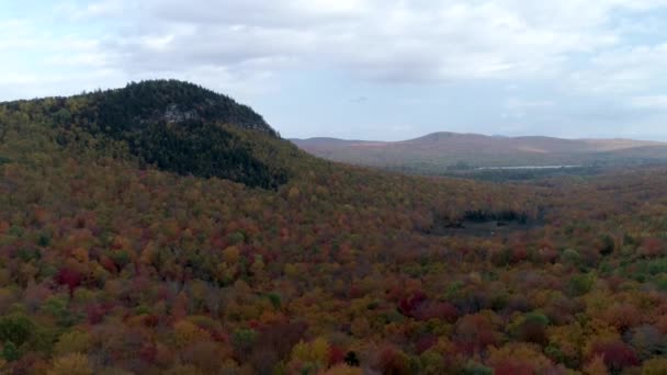 Drone aereo - Decend dall'alta quota alla cima dell'albero sulla collina in Peak Colors in autunno in Vermont . — Video Stock