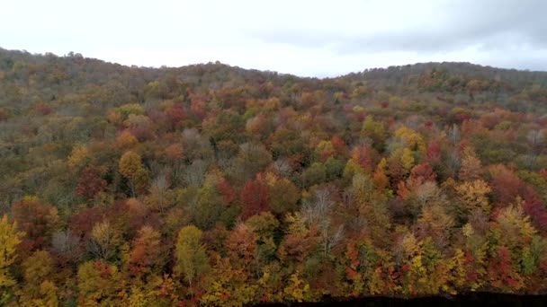 Luchtfoto Drone - Scan heuvel gevuld met Fall Color bomen in Vermont. — Stockvideo