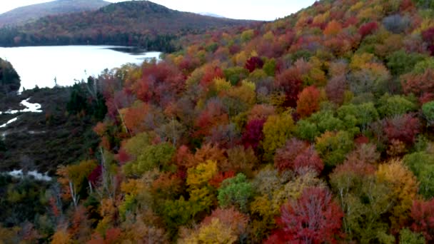 空中ドローン-バーモント州の秋にピーク色を示す湖と丘の上の高高度から降りてください。. — ストック動画