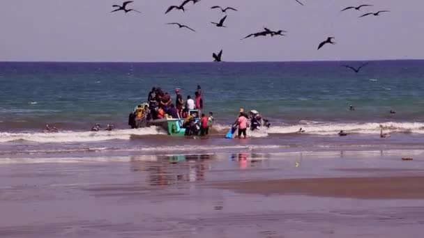 Puerto Lopez, EG - 20160819 - Lopez vissersboten met vogels. — Stockvideo