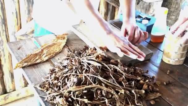 Man Rolls Cuban Cigar — Stock Video