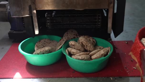 Máquina de fabricación de Naan - El proceso termina con el pan horneado cayendo en cestas — Vídeo de stock