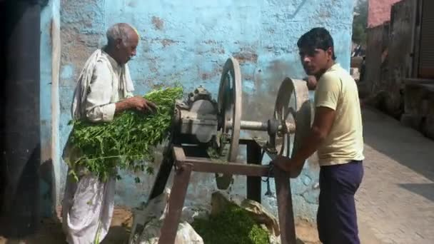 Barsana, India - 20180225 - Dos hombres muelen verdes para la cena . — Vídeos de Stock