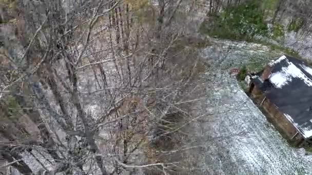 Luchtfoto Drone - Fly Over kale bomen in sneeuw tot Drone tegen bomen 4k crasht. — Stockvideo