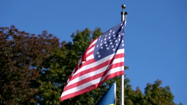 Amerikanische Bürgerkriegsflagge flattert im leichten Wind — Stockvideo