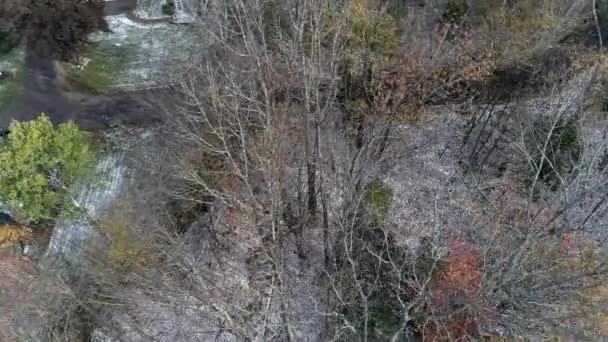 Luftdrohne - Flug über kahle Bäume im Schnee in new hampshire 4k. — Stockvideo