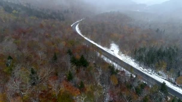 Drone aereo - Vola sopra la foresta con residuo di colori autunnali durante la guida tempesta di neve 4K . — Video Stock