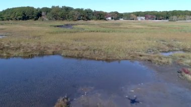 Hava Drone - sinek düşük Over Marsh geçen bitti küçük nehir dron gölge görünümünde 4k ile.