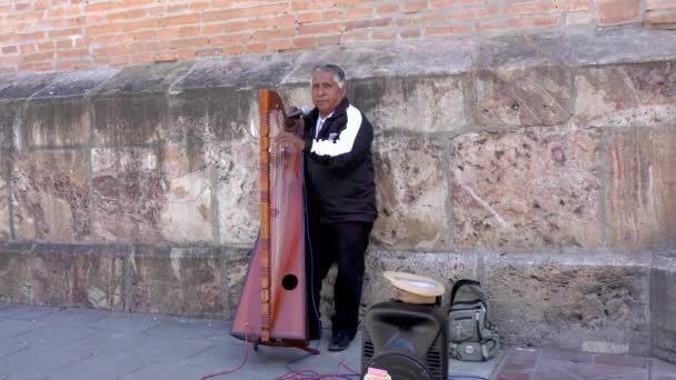 Cuenca, Ecuador - 20180920 - Man Plays Electric Harp for Tips - with Sound . — стоковое видео