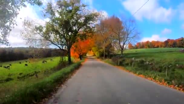 Okuma Vermont 20181009 Timelapse Grup Fotoğrafçıların Doğru Tam Renkli Ağaçlar — Stok video