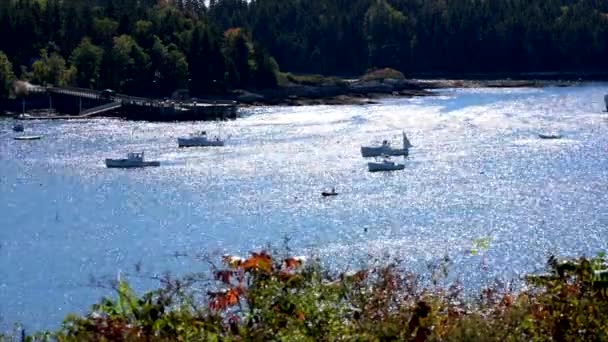 Chebeague Island, Maine - 20181006 - time-lapse - veerboot arriveert bij Dock over baai. — Stockvideo