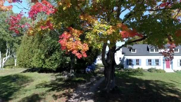Chebeague Island, Maine - 20181007 - Drone légi - Drone emelkedik a föld-színes őszi színes fa. — Stock videók