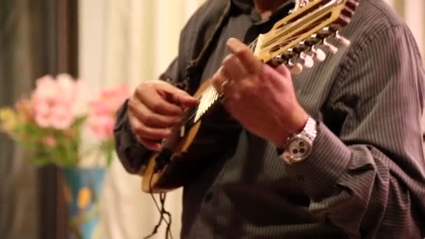 Cuenca, Ecuador  -  20161116  - Man Demonstrates Fast Finger Control on Charango Viewed From End of Frets. — Stock Video