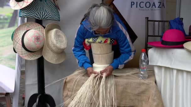 厄瓜多尔昆卡 20181003 昆卡独立日节 土著妇女展示如何使巴拿马帽 — 图库视频影像